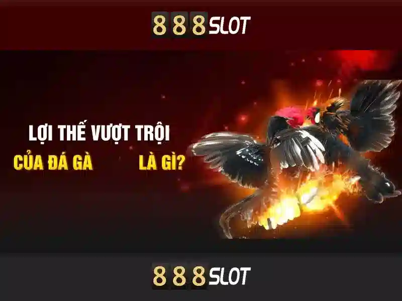 Trải nghiệm slot đỉnh cao