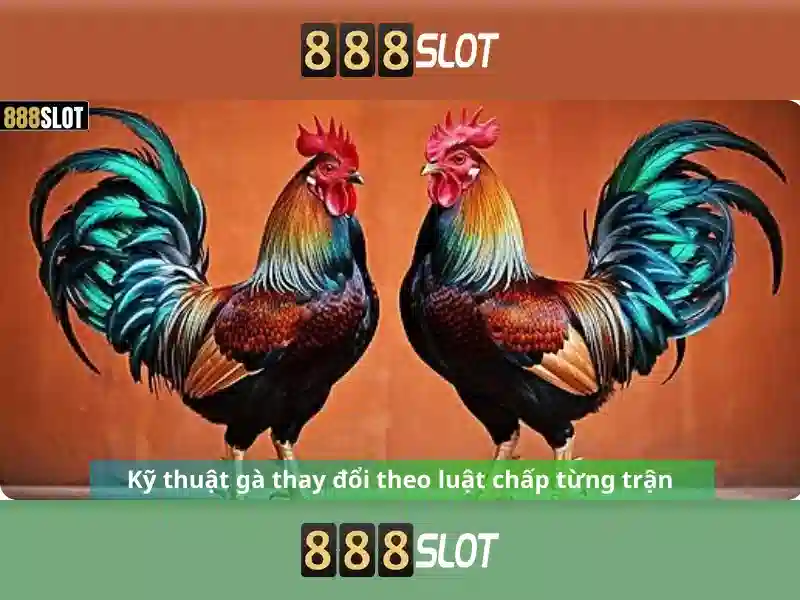 Nền tảng quy tụ nhiều môn thi đấu hấp dẫn