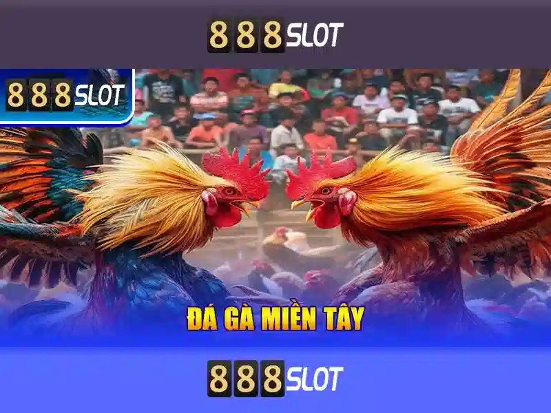 888SLOT – Trải Nghiệm Slot Đỉnh Cao 2026 | Khuyến Mãi Hấp Dẫn