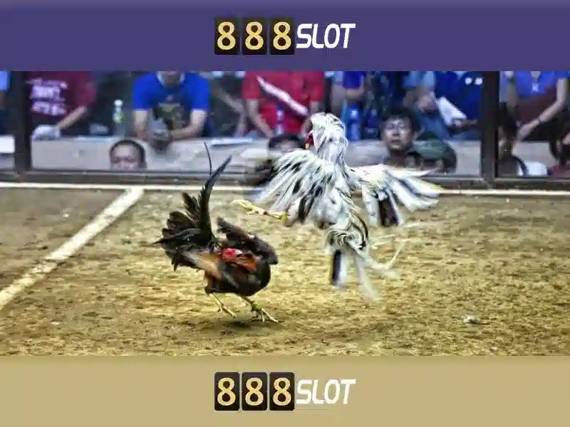 888SLOT - Mã Nhận Thưởng 888slot Độc Quyền Cho Người Chơi Slot