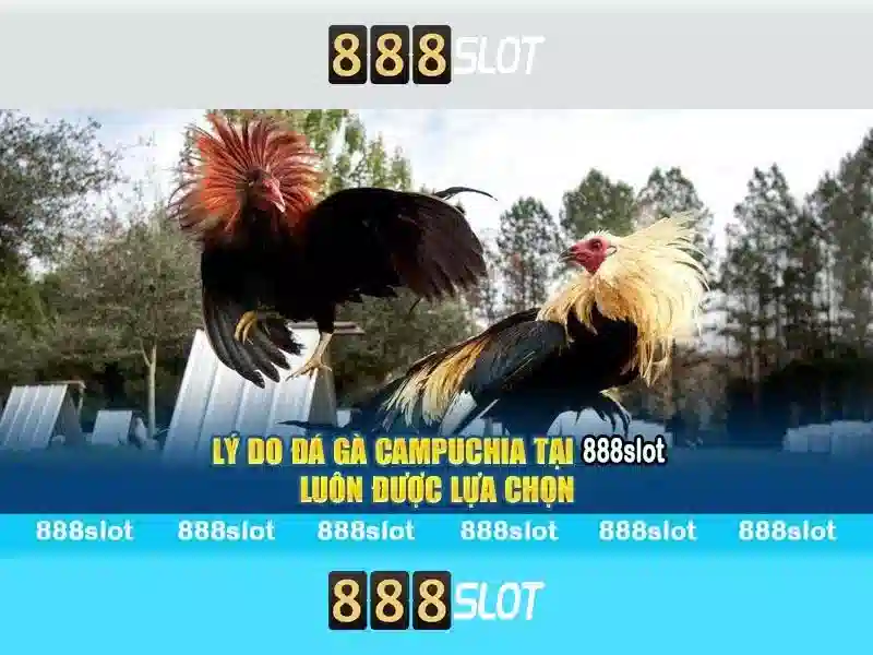 Tính Năng SLOT