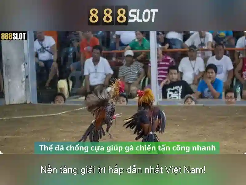 vn 888slot – Hướng Dẫn Đăng Ký Và Nạp Tiền Nhanh Chóng