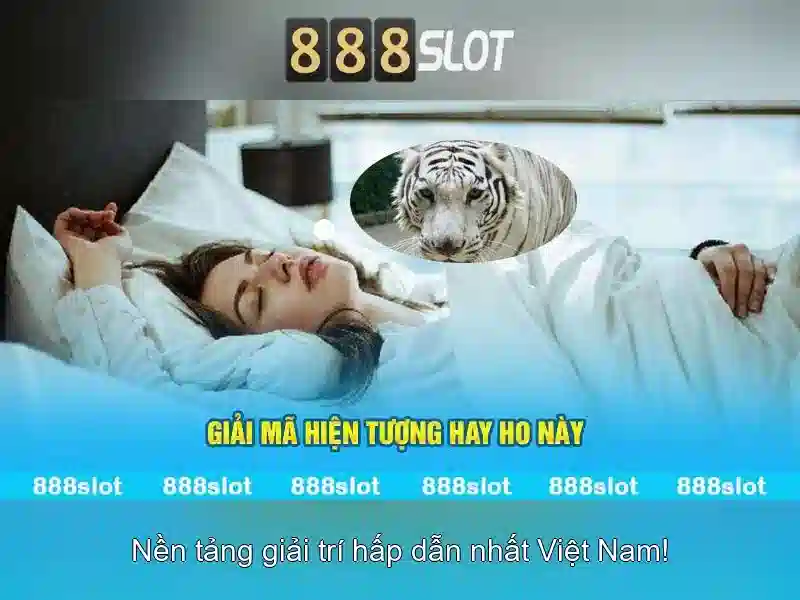 888SLOT – Trải Nghiệm Slot Đỉnh Cao Với 83 Ưu Đãi Đặc Biệt 2026