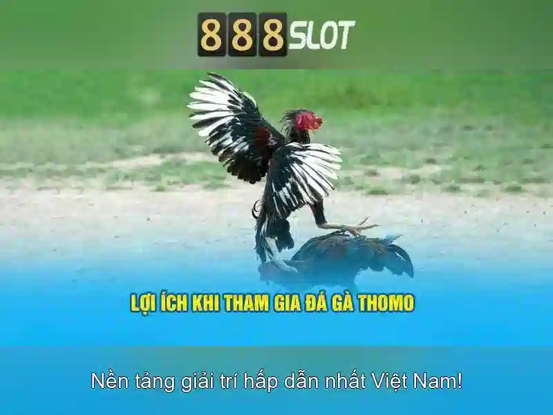 Trải Nghiệm Slot Đỉnh Cao Với APK 888SLOT