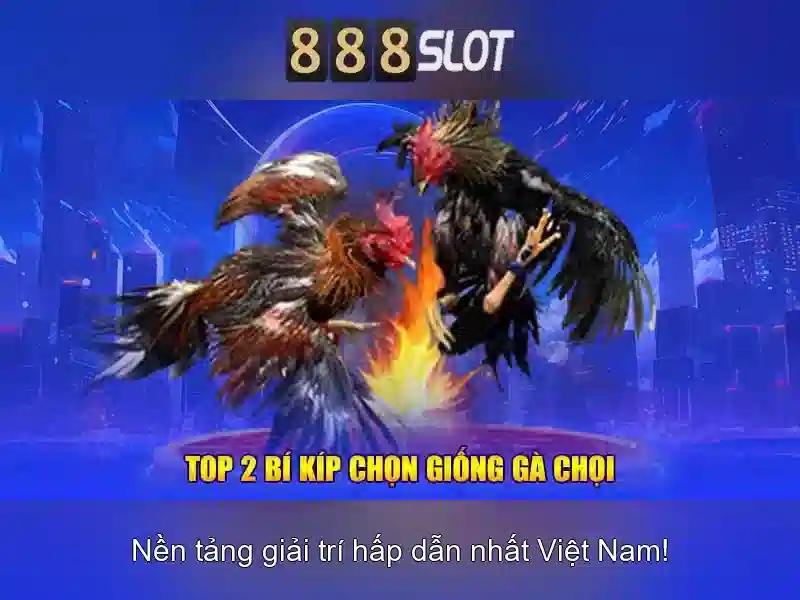 Tải 888slot apk latest version 2026