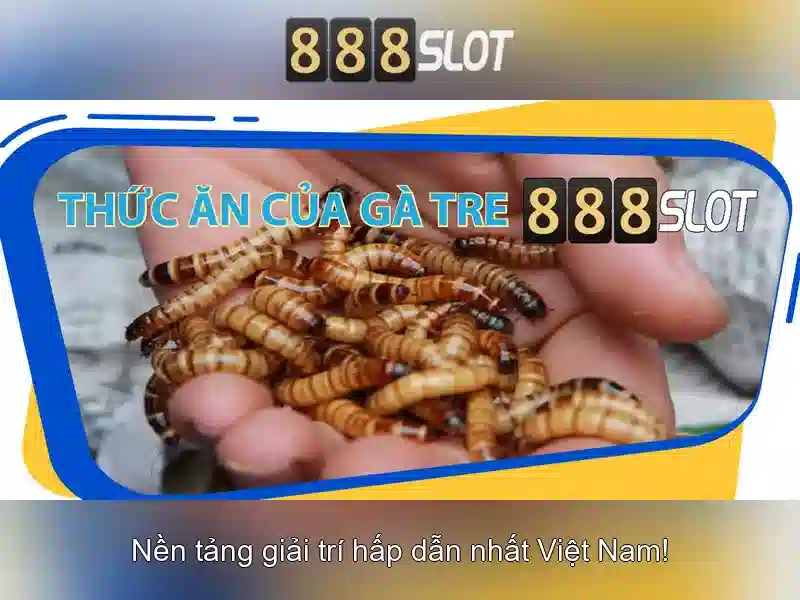 Quy định bảo mật thông tin 888SLOT