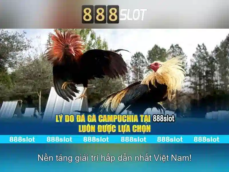 888SLOT - Trải Nghiệm Cá Cược Đa Dạng, Ưu Đãi 888 Slot Com Hấp Dẫn 2026